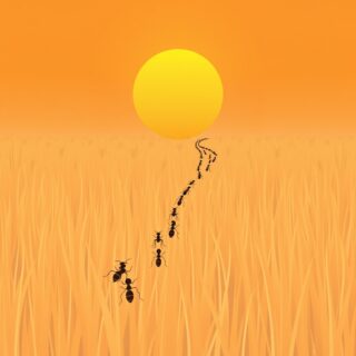 ＼アリだー！／のイメージ